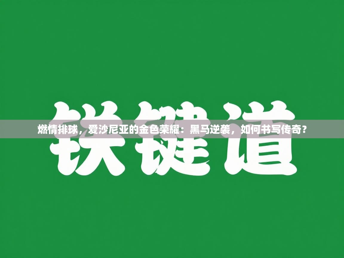 燃情排球，爱沙尼亚的金色荣耀：黑马逆袭，如何书写传奇？